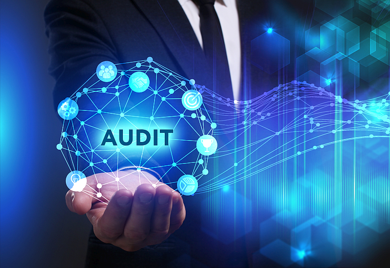 Quality Audit - A tool for examining problems